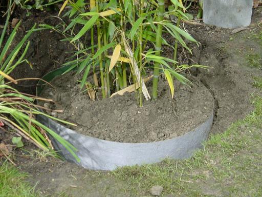 Plantex Wurzelsperre (Root Barrier)