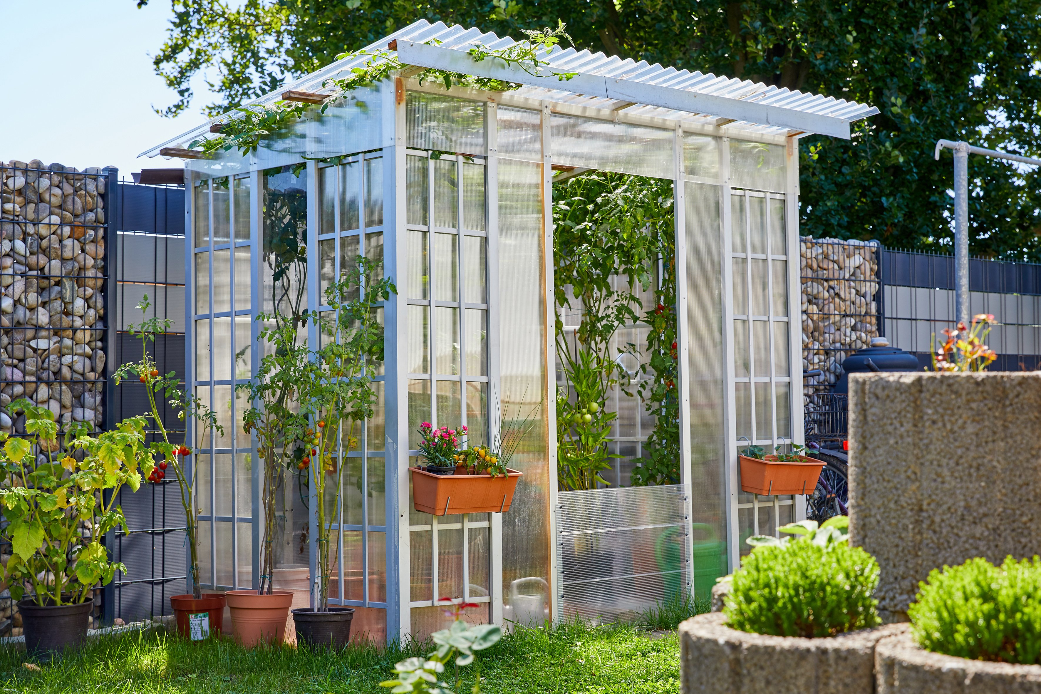 PVC Wellplatten 0,8 mm trapez klar