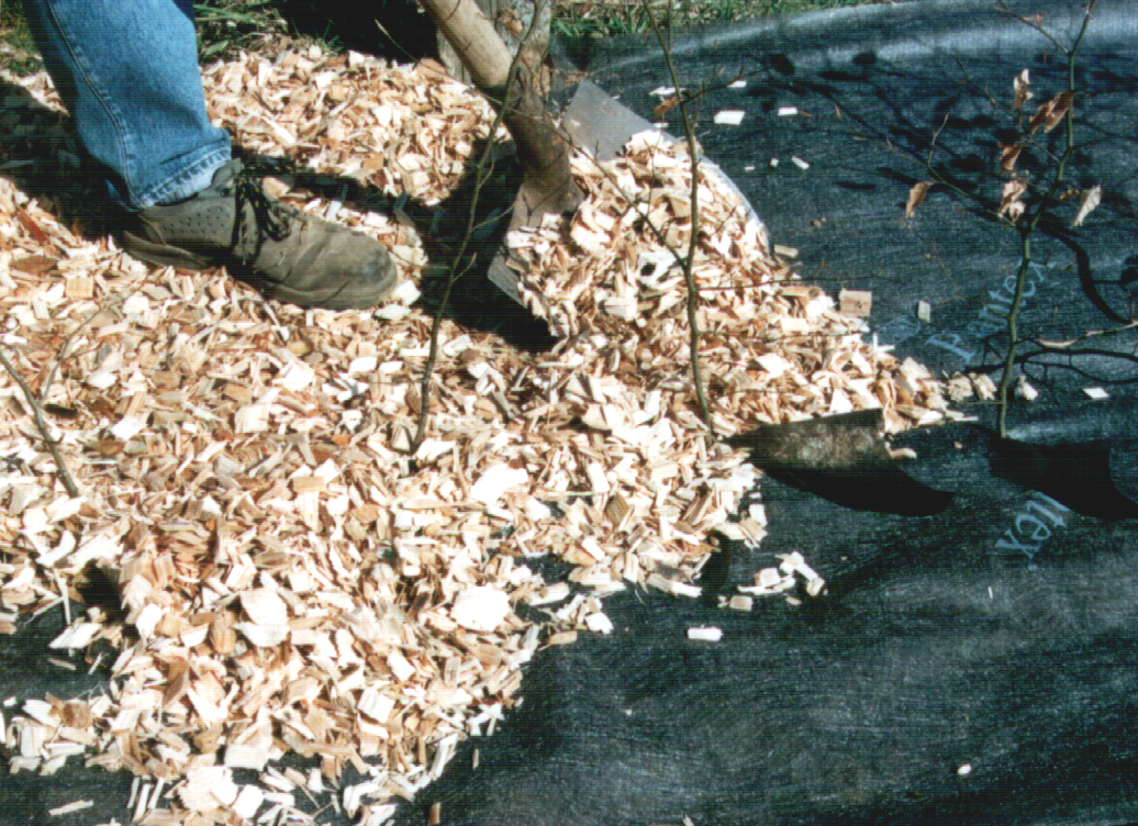 Plantex® Heckenvlies 0,5 x 20 m