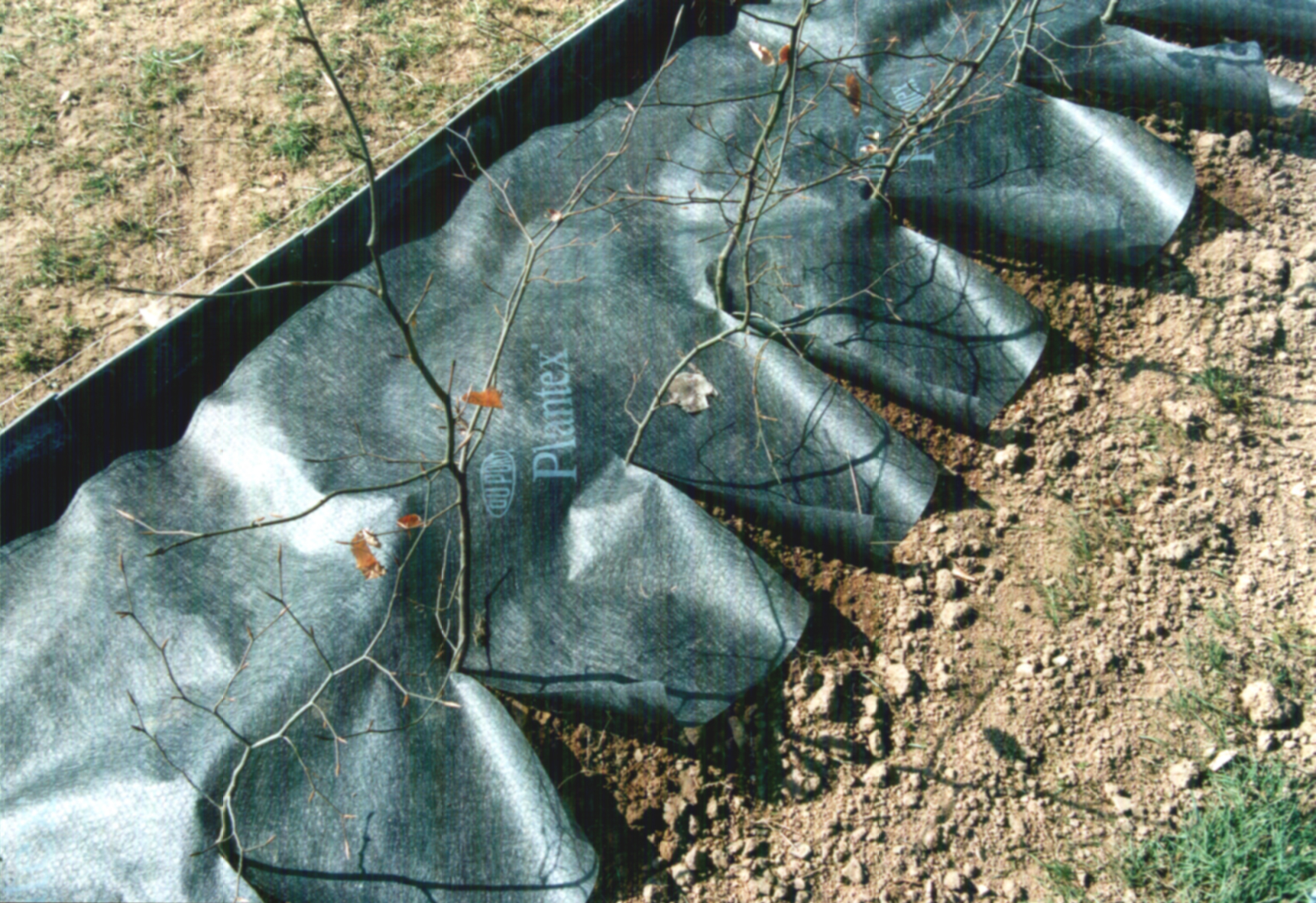 Plantex® Heckenvlies 0,5 x 20 m