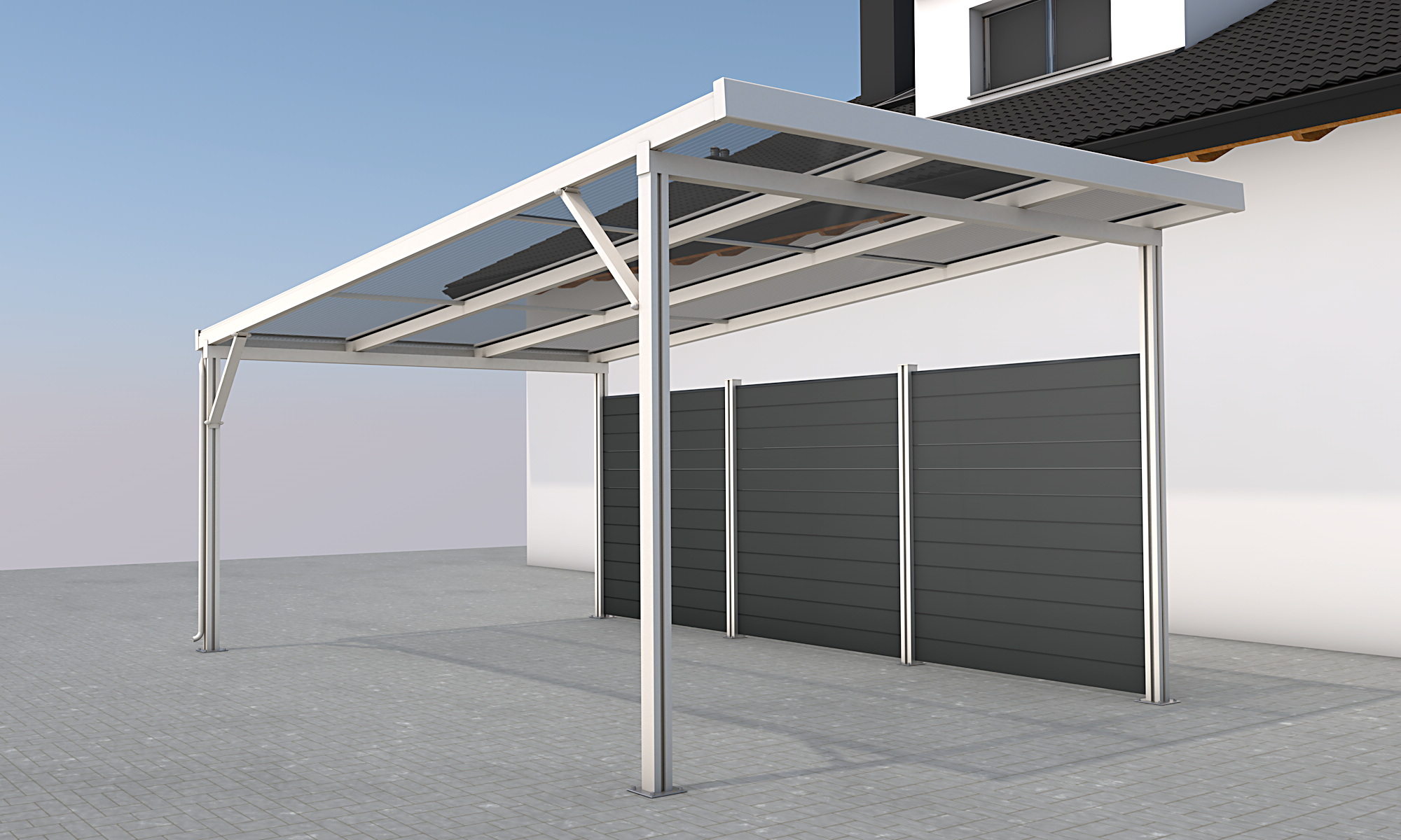 Rückwand für Carport Premium