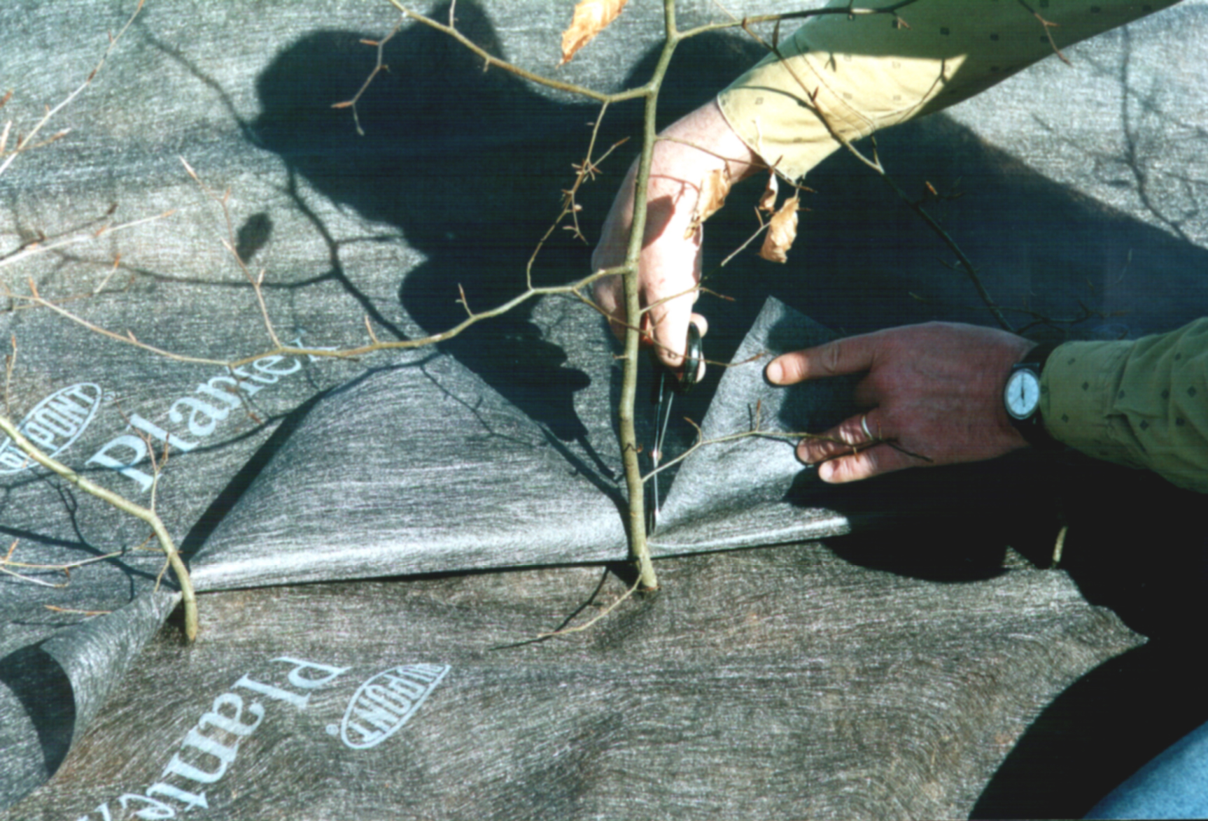 Plantex® Heckenvlies 0,5 x 20 m