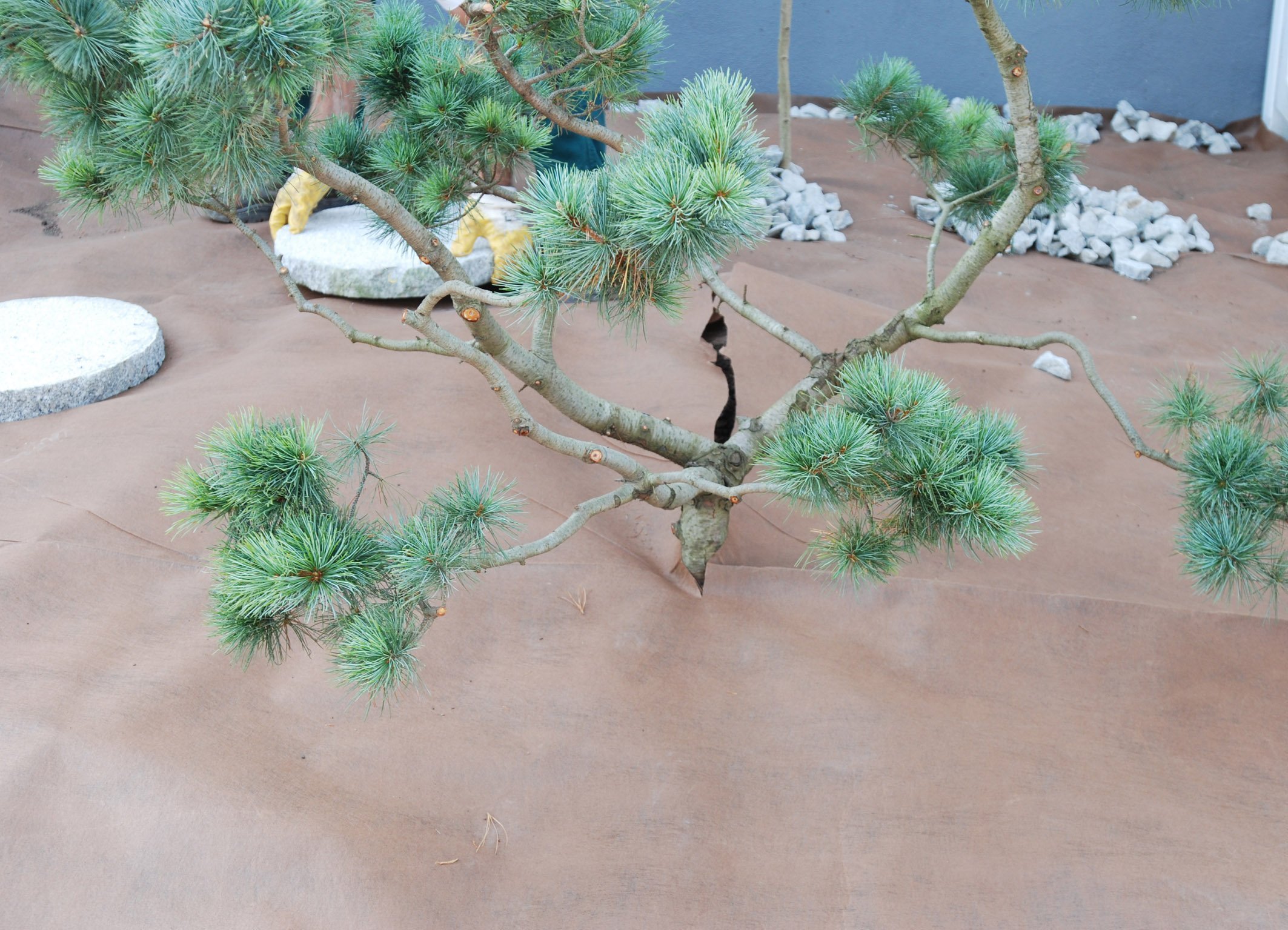 Plantex Unkrautvlies Premium Plus - Großrolle 2,0 x 50 m