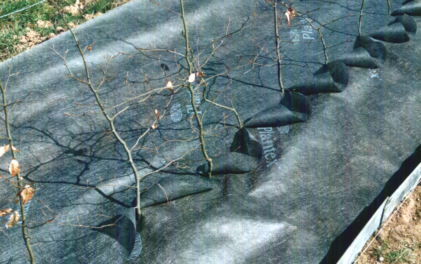 Plantex® Heckenvlies 0,5 x 20 m