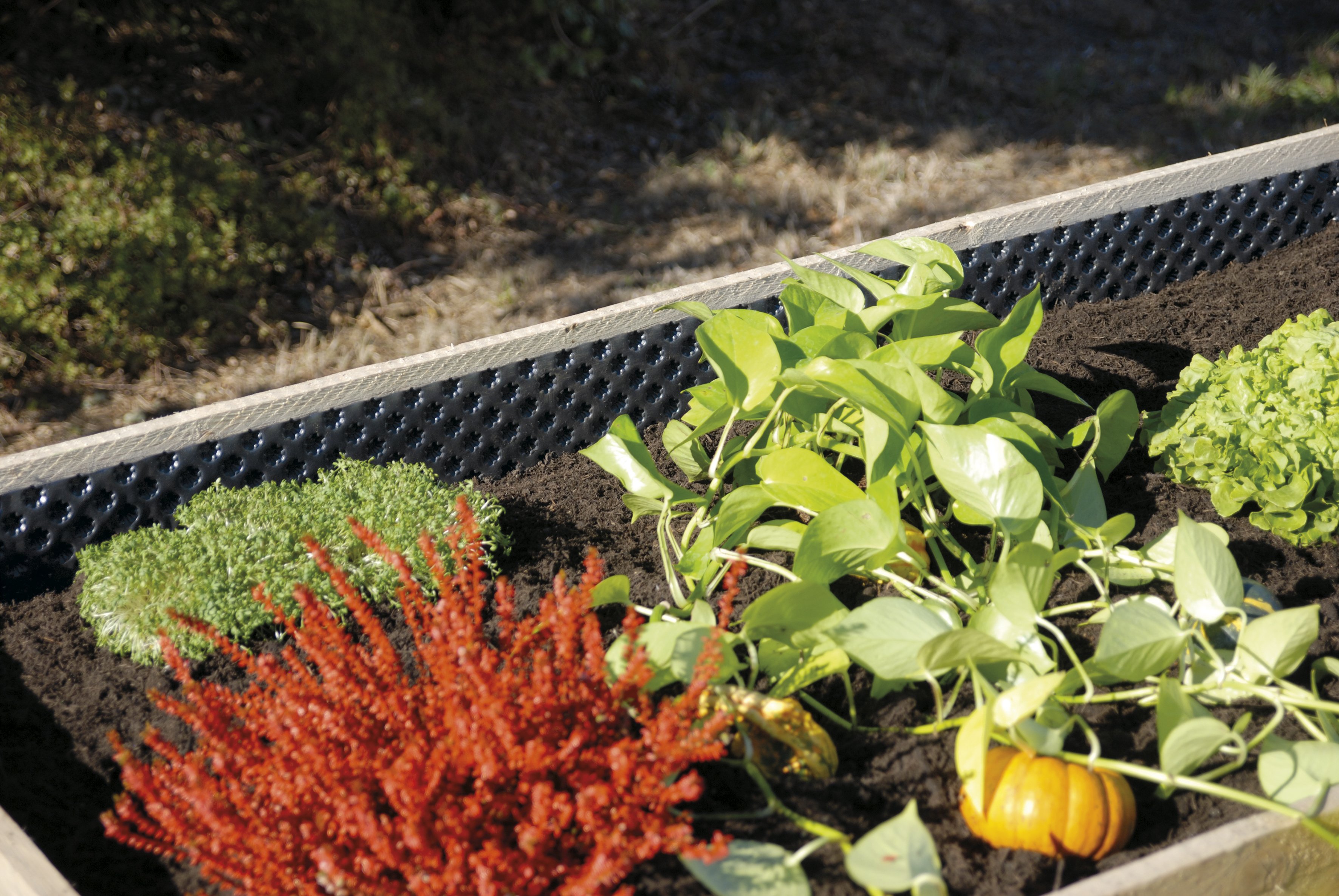 Hochbeet Noppenbahn Gutta - 0,9 x 6,5 m