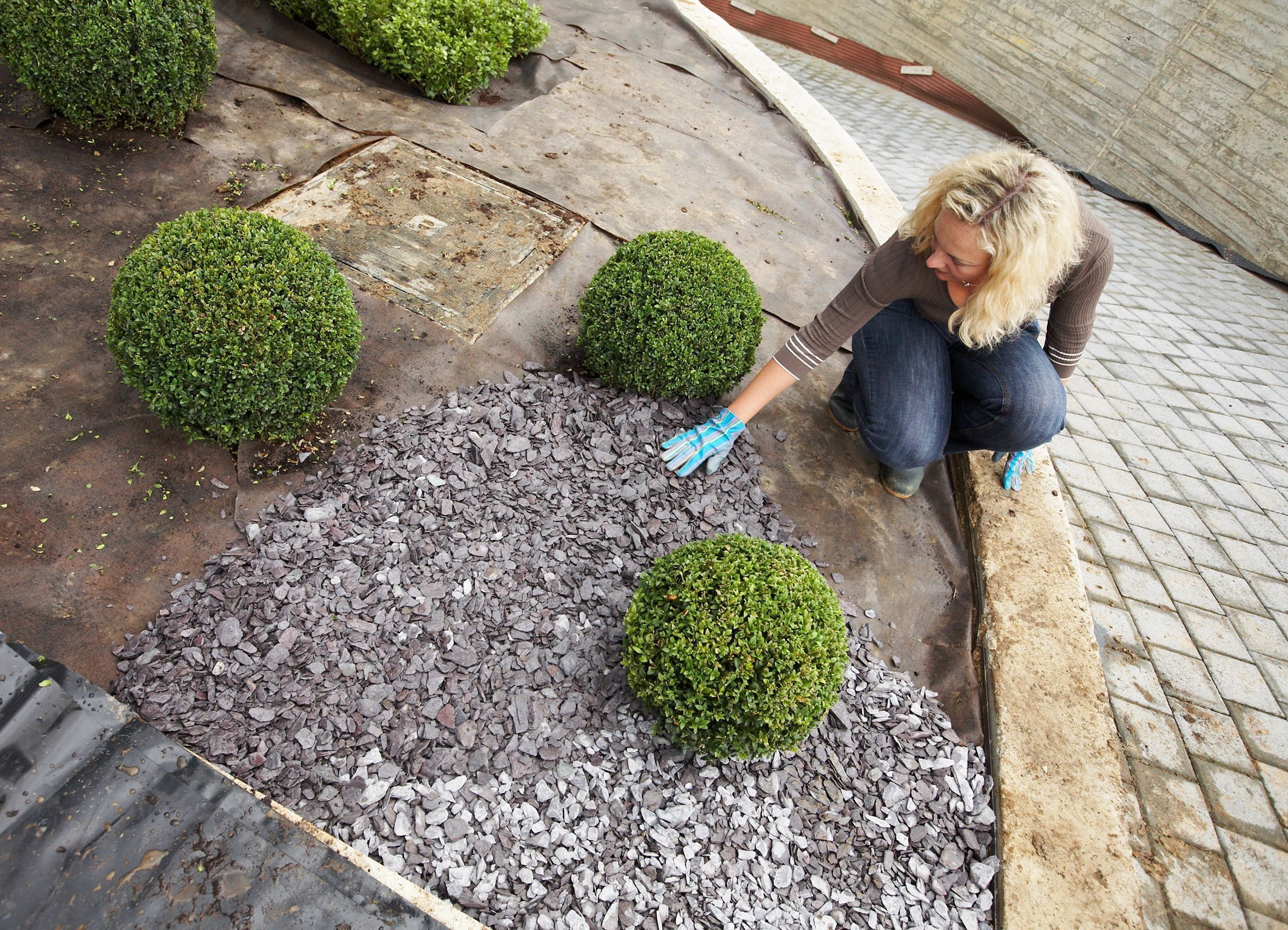 Plantex Unkrautvlies Premium - Großrolle 2 x 150 m